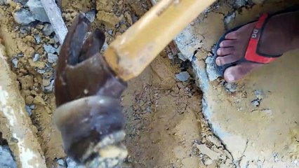 Il découvre que la canalisation est bouchée à cause... d'un anaconda