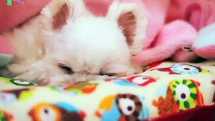 해운대출장안마 -후불100%ョØ7ØE7301E9649｛카톡LA666｝ 해운대전지역출장안마 해운대오피걸 해운대출장마사지 해운대안마 해운대출장마사지 해운대콜걸샵сту