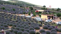 Türkiye'nin çiçek bahçesinde lavanta kokulu doğal fotoğraf stüdyosu