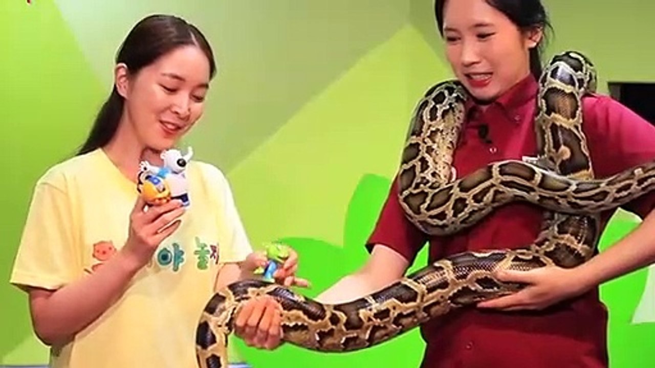 함양출장안마 -후불100%ョØ1ØE2997E5327｛카톡KC789｝ 함양전지역출장안마 함양오피걸 함양출장마사지 함양안마 함양출장마사지 함양콜걸샵ルレロ