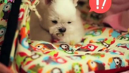 서귀포출장안마 -후불100%ョØ7ØE7333E9649｛카톡LGT010｝ 서귀포전지역출장안마 서귀포오피걸 서귀포출장마사지 서귀포안마 서귀포출장마사지 서귀포콜걸샵パヒビ