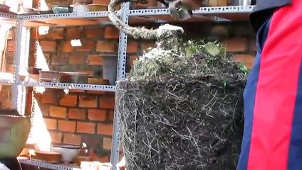 사천출장안마 -후불100%ョØ7ØE7575E0062｛카톡DK654｝ 사천전지역출장안마 사천오피걸 사천출장마사지 사천안마 사천출장마사지 사천콜걸샵◐▤▥