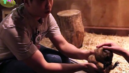 장수출장안마 -후불100%ョØ1ØE8109E5900｛카톡GD825｝ 장수전지역출장안마 장수오피걸 장수출장마사지 장수안마 장수출장마사지 장수콜걸샵ŧŋŉ