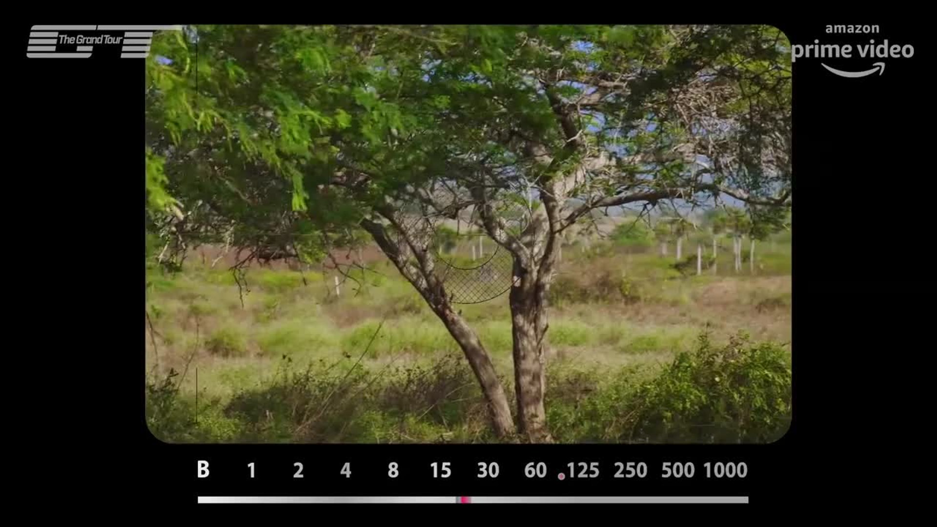 Cameras, cameras, cameras