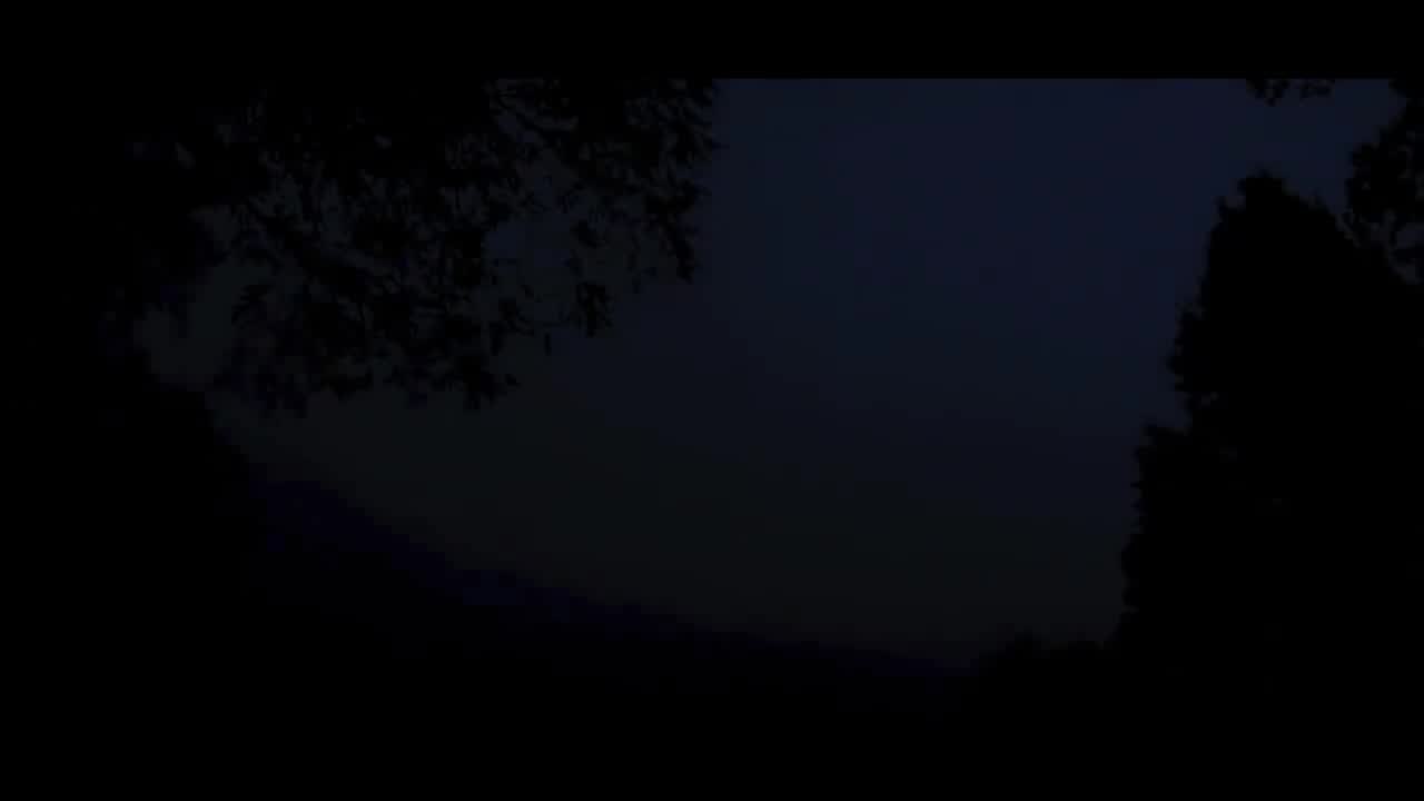 The "Shrimp" Scout Sixty