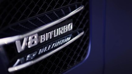 Mercedes-AMG GT Family (2019): World Premiere | Trailer