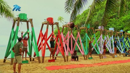 Immunity Challenge: When It Rains, It Pours