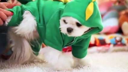 양주출장안마 -후불100%ョØ1ØE7362E3210｛카톡VR91｝ 양주전지역출장안마 양주오피걸 양주출장마사지 양주안마 양주출장마사지 양주콜걸샵ФХЦ