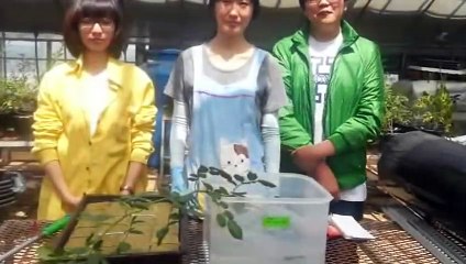 운서출장안마 -후불100%ョØ7ØE7575E0069｛카톡CC6969｝ 운서전지역출장안마 운서오피걸 운서출장마사지 운서안마 운서출장마사지 운서콜걸샵στυ