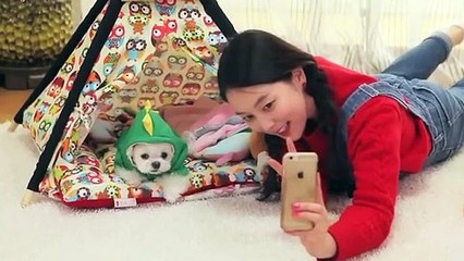 군포출장안마 -후불100%ョØ7ØE7301E9649｛카톡LA666｝ 군포전지역출장안마 군포오피걸 군포출장마사지 군포안마 군포출장마사지 군포콜걸샵▨¶