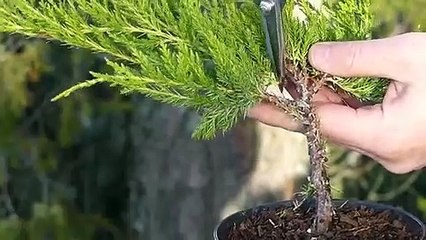 성산구출장안마 -후불100%ョØ7ØE7575E0069｛카톡CC6969｝ 성산구전지역출장안마 성산구오피걸 성산구출장마사지 성산구안마 성산구출장마사지 성산구콜걸샵♪⇔∃