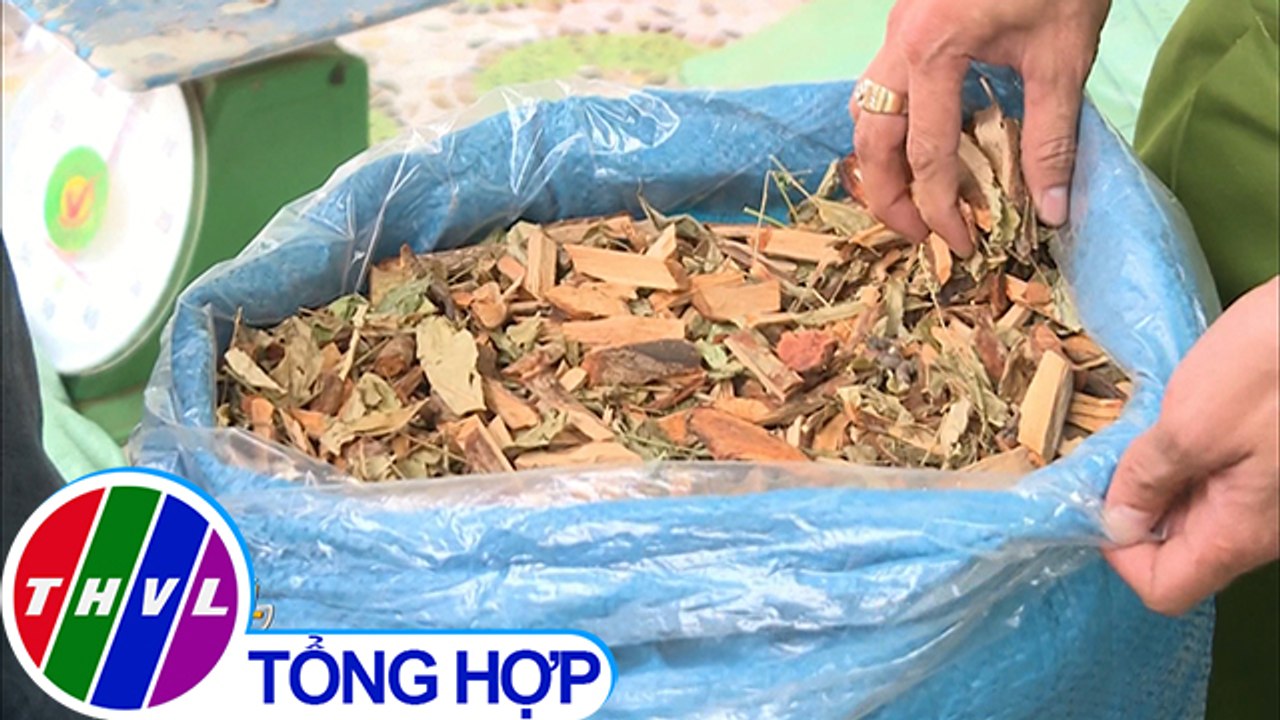 THVL | Phát hiện hơn 2 tấn nguyên liệu nghi dùng sản xuất thuốc Amakong
