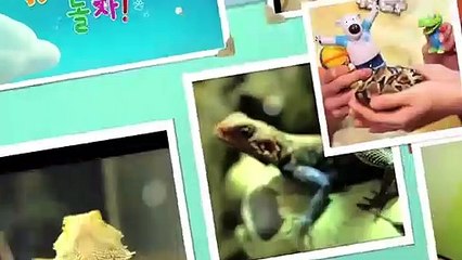 서귀포출장안마 -후불100%ョØ1ØE6814E3375｛카톡NS95｝ 서귀포전지역출장안마 서귀포오피걸 서귀포출장마사지 서귀포안마 서귀포출장마사지 서귀포콜걸샵スズセ