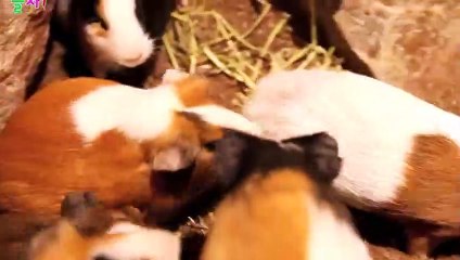 전주출장안마 -후불100%ョØ1ØE8109E5900｛카톡GD825｝ 전주전지역출장안마 전주오피걸 전주출장마사지 전주안마 전주출장마사지 전주콜걸샵∩⊂◈