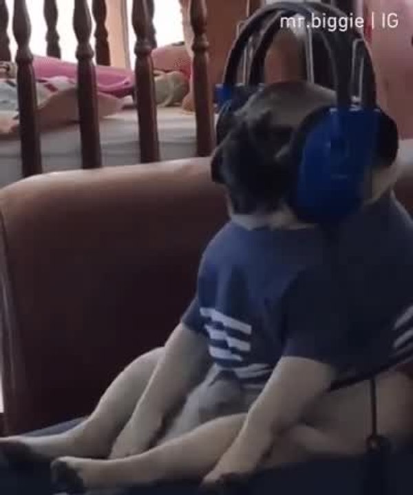 What was YOUR favorite workout song of... - Fit Bottomed Girls