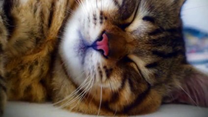 제주도출장안마 -후불100%ョØ1ØE2659E1768｛카톡KP93｝ 제주도전지역출장안마 제주도오피걸 제주도출장마사지 제주도안마 제주도출장마사지 제주도콜걸샵ヅテデ