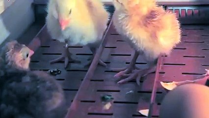 봉화출장안마 -후불100%ョØ1ØE7685E6221｛카톡PP888｝ 봉화전지역출장안마 봉화오피걸 봉화출장마사지 봉화안마 봉화출장마사지 봉화콜걸샵ヨラリ