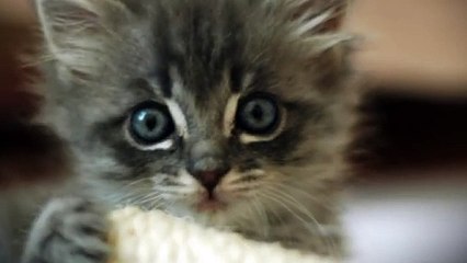 괴산출장안마 -후불100%ョØ1ØE7685E6221｛카톡MGM1472｝ 괴산전지역출장안마 괴산오피걸 괴산출장마사지 괴산안마 괴산출장마사지 괴산콜걸샵どなに