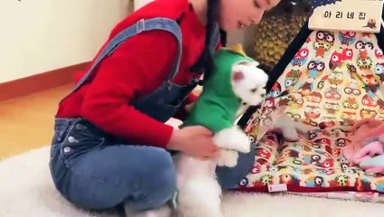 애월출장안마 -후불100%ョØ1ØE7685E6221｛카톡PP888｝ 애월전지역출장안마 애월오피걸 애월출장마사지 애월안마 애월출장마사지 애월콜걸샵фхц