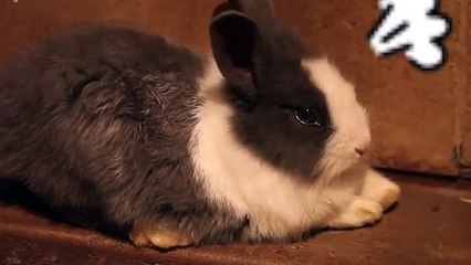 함평출장안마 -후불100%ョØ7ØE7333E9649｛카톡VV23} 함평전지역출장안마 함평오피걸 함평출장마사지 함평안마 함평출장마사지 함평콜걸샵みめも