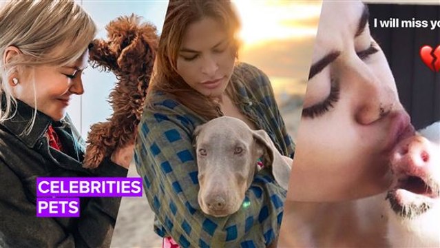 We can totally relate to these celebs and their pet posts