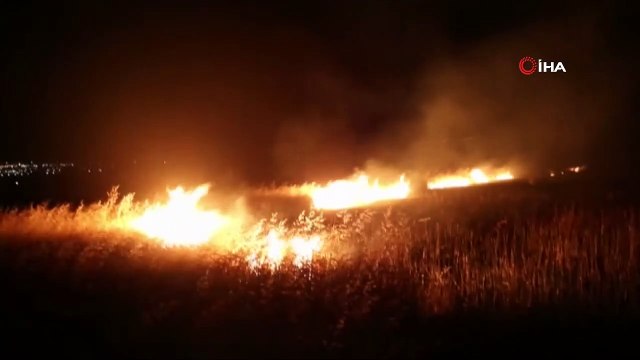 Yıldırımın isabet ettiği ekili alan yanarak kül oldu