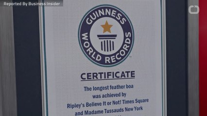 Five of the Wildest Guinness World Records In 2019