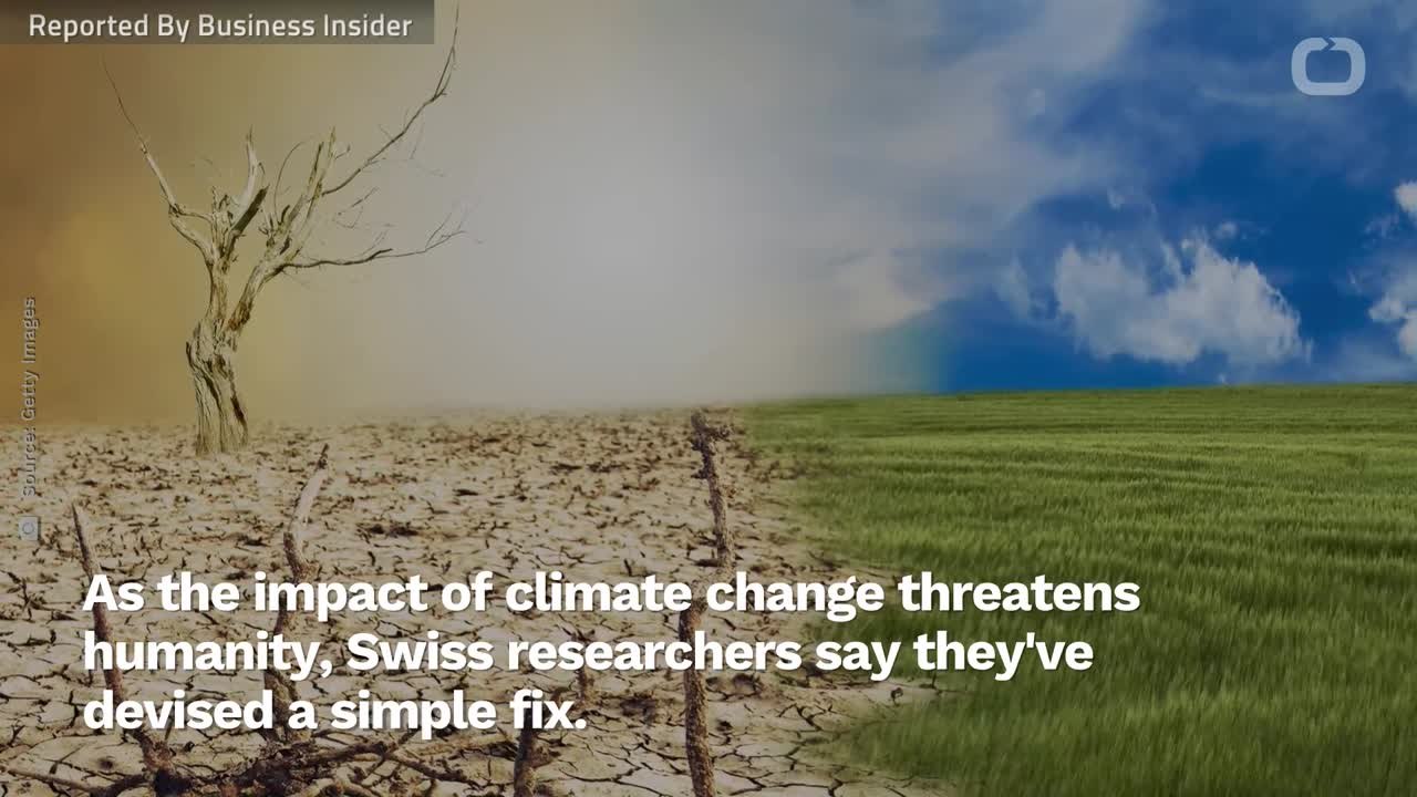 Study: Planting A Billion Acres Of Trees Will Help Solve Humanity's Biggest Threat