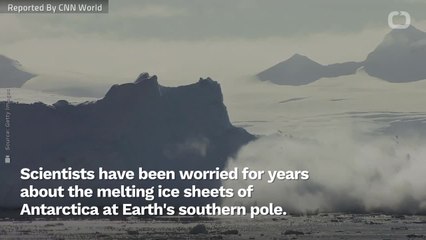 As Antarctica's Ice Melts, Time To Prevent Global Destruction Is Running Out