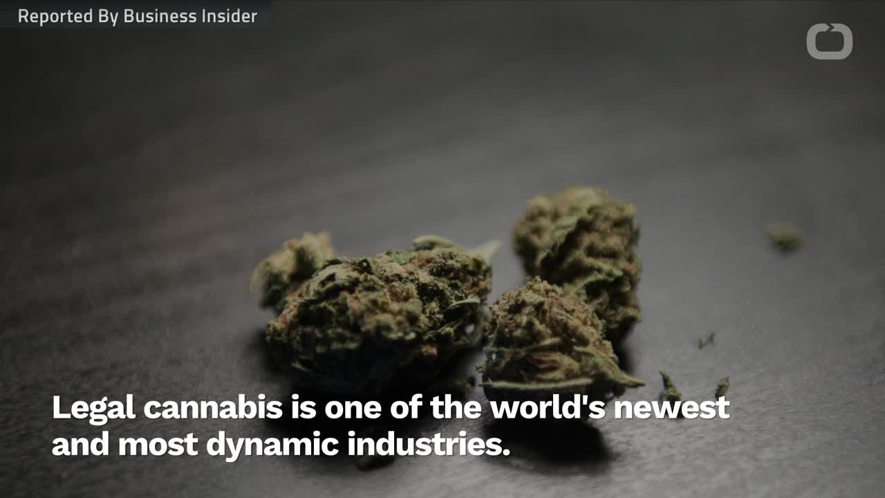 Cannabis: From Criminalized Drug To Multibillion-Dollar Global Boom