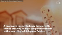 Europe Breaking Temperature Records During Dangerous Heat Wave
