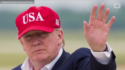 Trump Jokes With Putin About Russia's Meddling In U.S. Elections