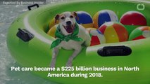 Companies Capitalize On Pet Care Industry Booming