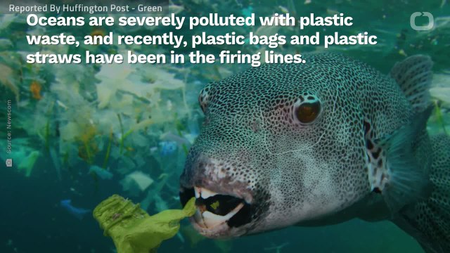 Disposable Razors Are Lovely, But How Bad Are They For The Environment?