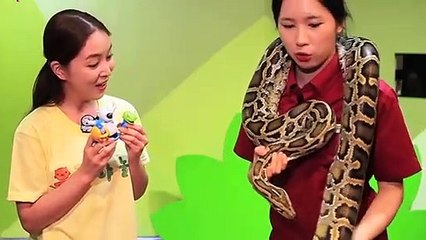 수원출장안마 -후불100%ョØ7ØE7301E9649｛카톡LA666｝ 수원전지역출장안마 수원오피걸 수원출장마사지 수원안마 수원출장마사지 수원콜걸샵ゲゴサ