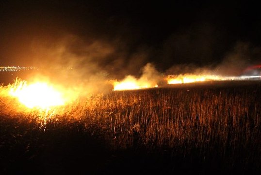 Yıldırımın isabet ettiği ekili alan yanarak kül oldu