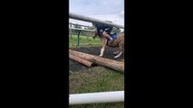 Fail : ce cheval lâche son cavalier face à un petit obstacle !