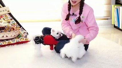 팔달출장안마 -후불100%ョØ1ØE2671E8135｛카톡LA369｝ 팔달전지역출장안마 팔달오피걸 팔달출장마사지 팔달안마 팔달출장마사지 팔달콜걸샵∑⇒∃