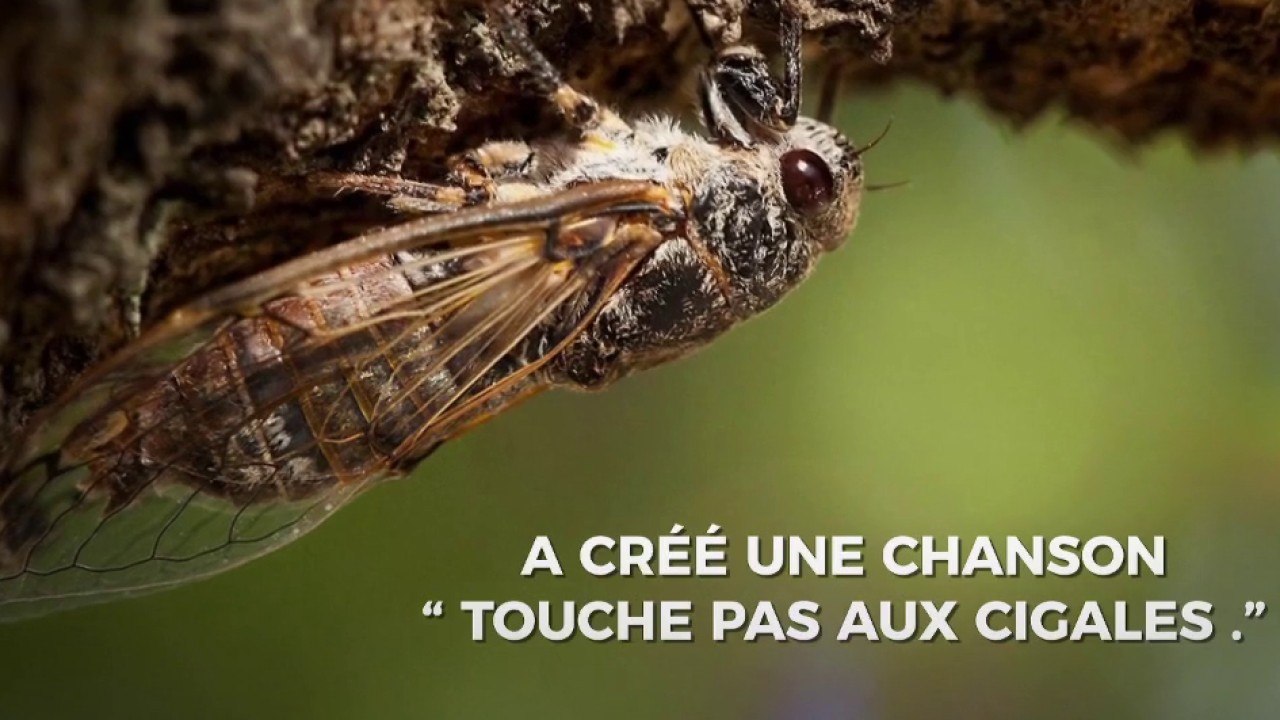 Place net - Revue du web