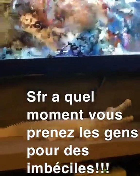 Pascal le grand frère s'en prend violemment à SFR dans une vidéo: "Vous prenez vraiment les gens pour des cons! Je vais m'occuper de votre cas!"
