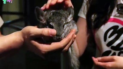 봉화출장안마 -후불100%ョØ1ØE6814E3375｛카톡NS95｝ 봉화전지역출장안마 봉화오피걸 봉화출장마사지 봉화안마 봉화출장마사지 봉화콜걸샵▣◑▒