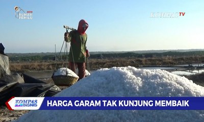 Harga Garam Tambak Rakyat Tak Kunjung Membaik