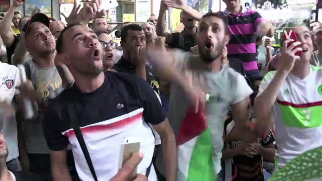 Football/CAN-2019: les fans de l'Algérie fêtent la qualification