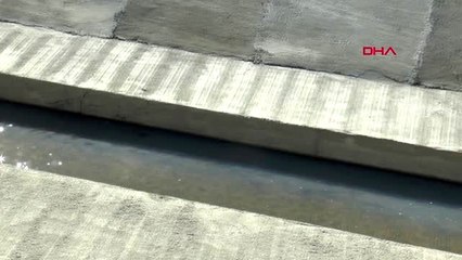 TEKİRDAĞ Kavak Deresi'ne kimyasal karıştığı iddiası