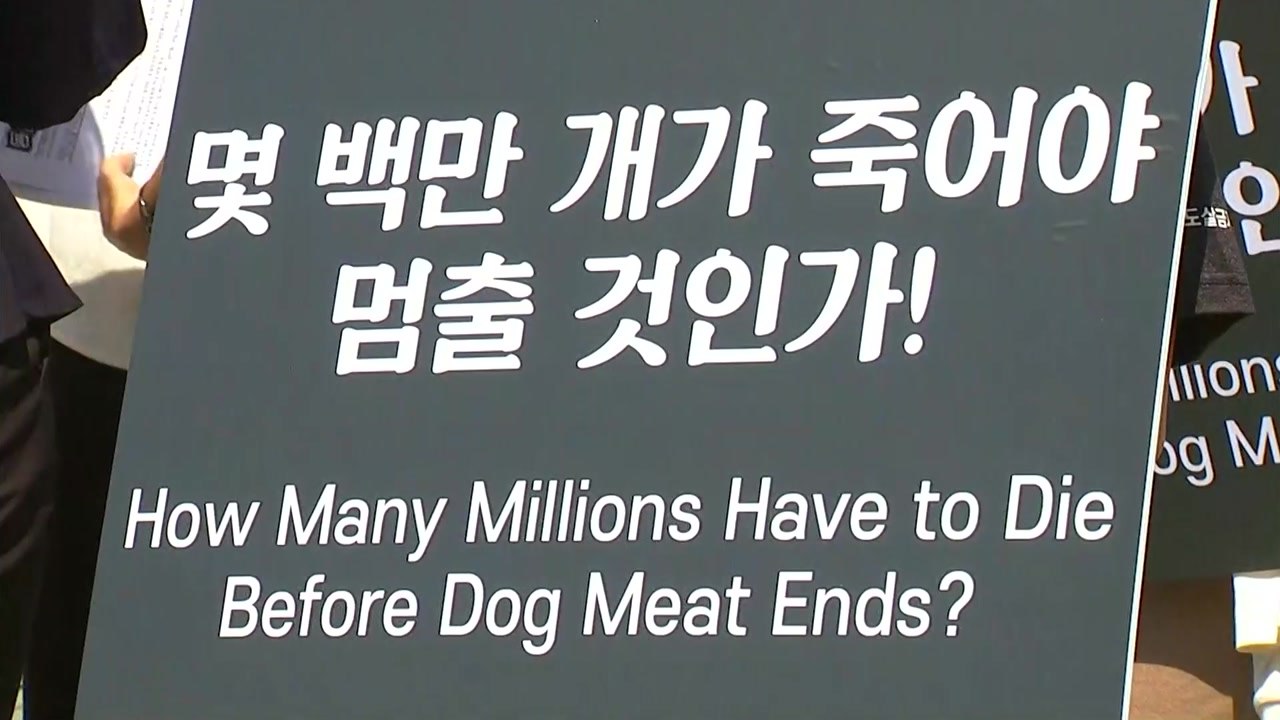 초복 맞아 '개 식용' 찬반 집회 잇따라 / YTN