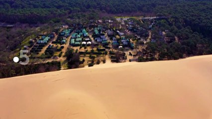 [BA] Sale temps pour la planète – Landes de Gascogne - 17/07/2019