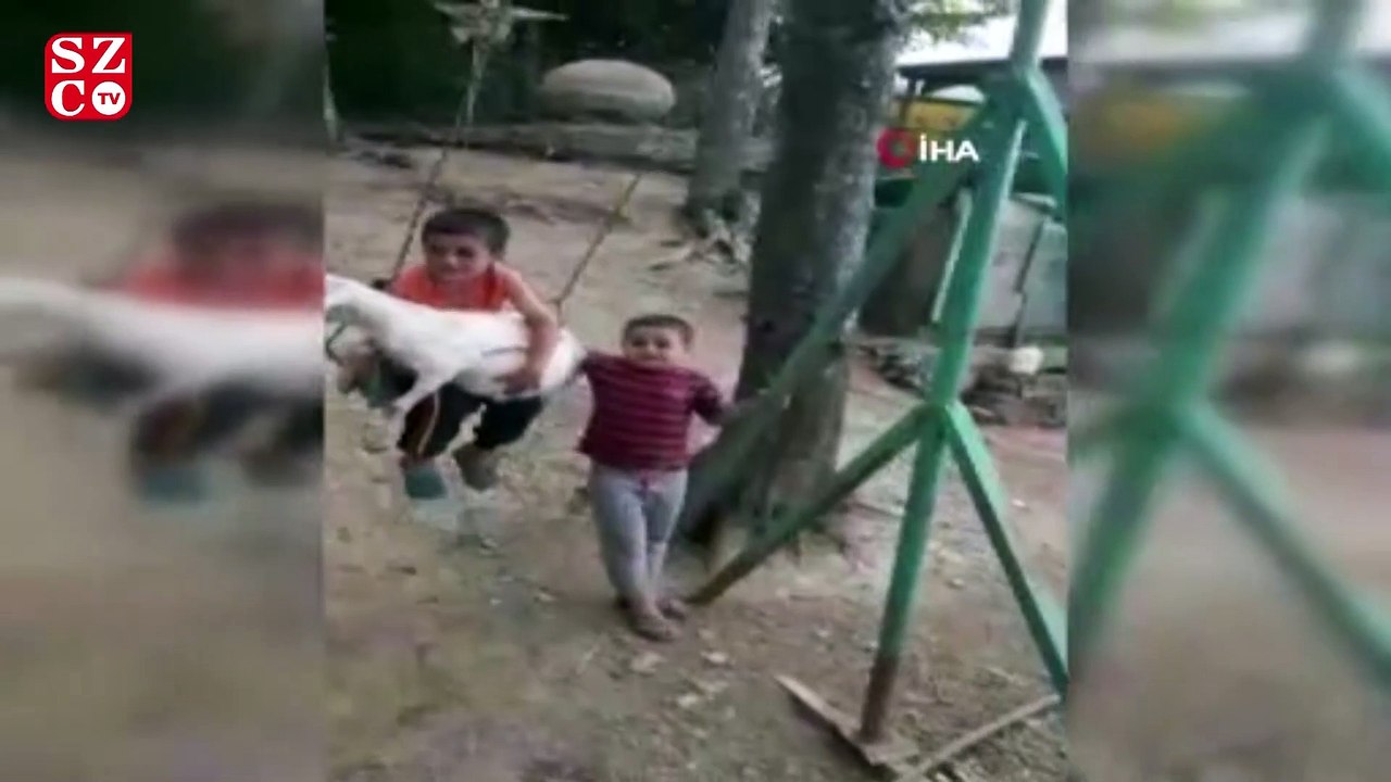 Keçi yavrusuyla salıncakta sallanan çocuk, renkli görüntüler oluşturdu