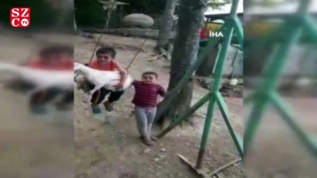 Keçi yavrusuyla salıncakta sallanan çocuk, renkli görüntüler oluşturdu