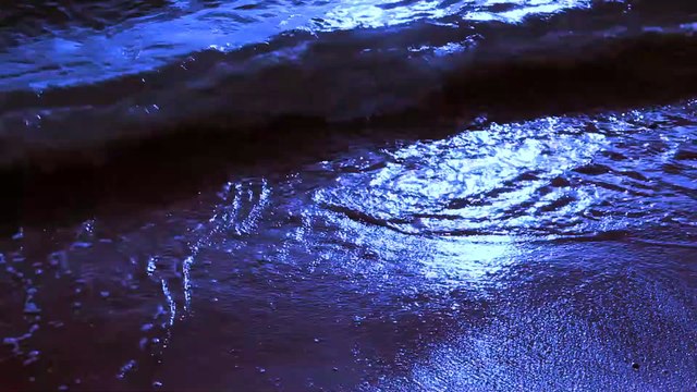 Shaaman Paiyan - Sonu Kakkar (Music - Tony Kakkar)