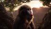 THE LION KING Movie Clip - Scar & Simba